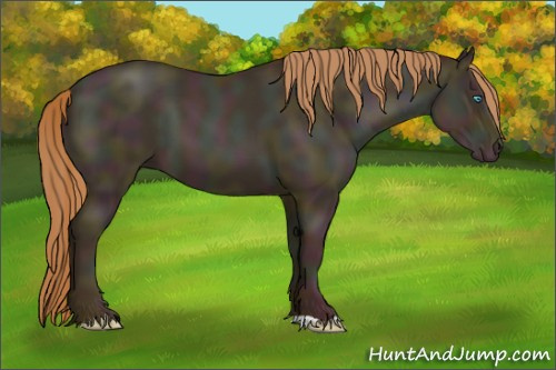 Horse Color:Midnight Buckskin Pearl