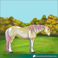 Horse Color:Watercolor Bay Onyx Tobiano Rabicano 