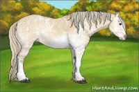 Horse Color:Watercolor Silver Bay Ice Onyx Sabino Rabicano
