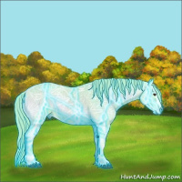 Horse Color:Thunderstruck Watercolor Red Onyx Ice Rabicano