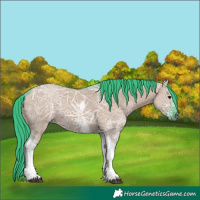 Horse Color:Watercolor Grullo Ice Tobiano Rabicano