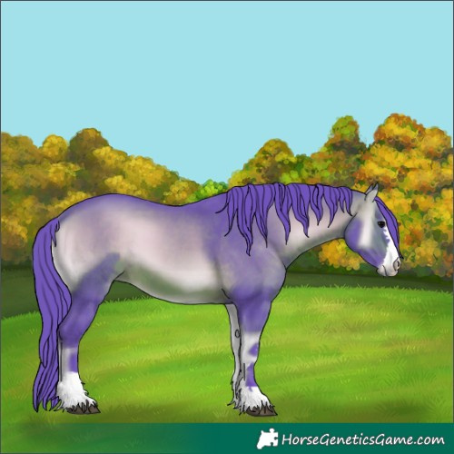 Horse Color:Watercolor Brown Onyx 