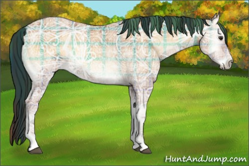 Horse Color:Plaid Bay Ice Onyx