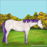 Horse Color:Watercolor Bay Ice Dun 