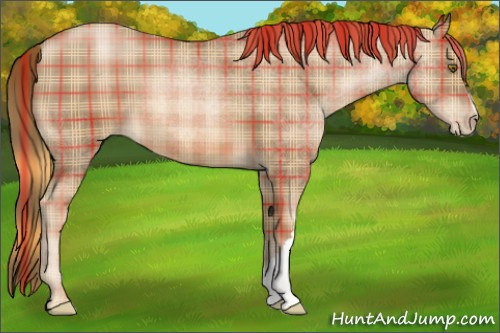 Horse Color:Plaid  Liver Chestnut Pearl 