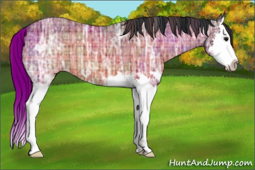 Horse Color:Plaid Bay Ice Splash