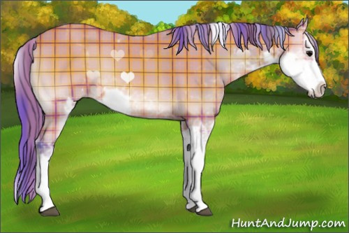 Horse Color:Watercolor Plaid Bay Onyx Sabino