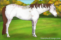 Horse Color:Red Onyx Ice Frame 