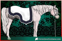 Horse Color:Watercolor Chocolate Palomino Ice Pearl Appaloosa