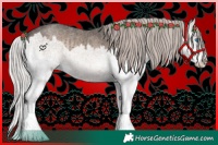 Horse Color:Silver Blue Onyx Splash