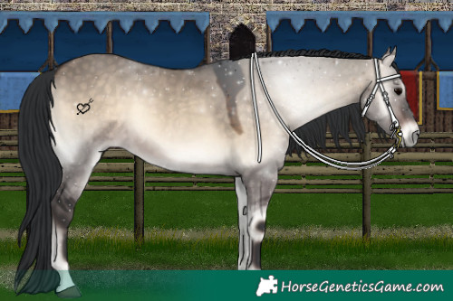 Horse Color:Brown Onyx