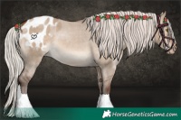 Horse Color:Silver Brown Dun Blanket 