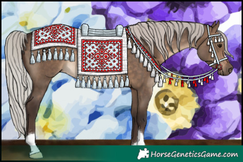 Horse Color:Silver Brown Dun