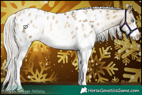 Horse Color:Silver Buckskin Pearl Sabino Blanket