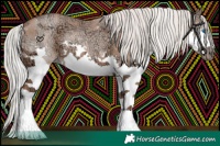 Horse Color:Silver Black Ice Pearl Splash 