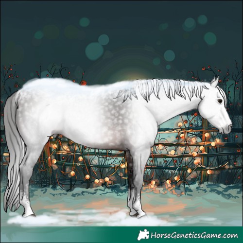 Horse Color:Gray Bay Sabino