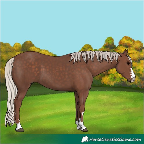 Horse Color:Silver Black 
