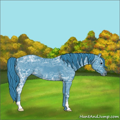 Horse Color:Watercolor Black Ice Rabicano
