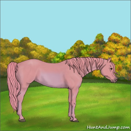 Horse Color:Watercolor Chestnut