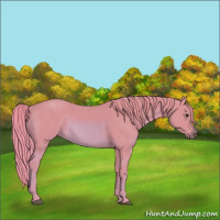 Horse Color:Watercolor Chestnut 
