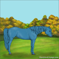 Horse Color:Watercolor Black 