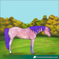 Horse Color:Watercolor Bay Ice 