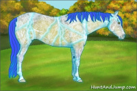 Horse Color:Thunderstruck Watercolor Sable Champagne Ice 