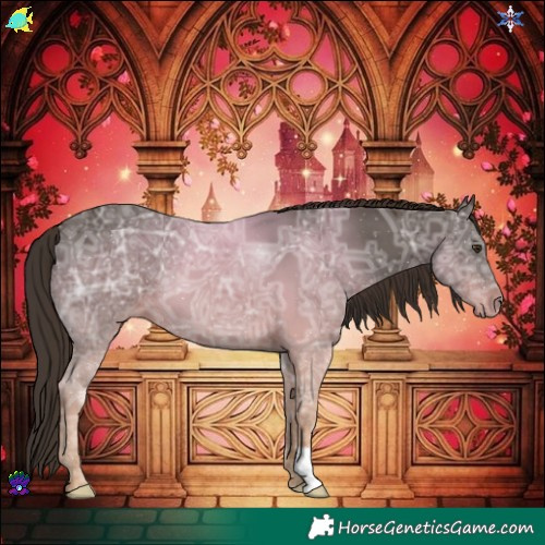 Horse Color:Liver Chestnut Ice 