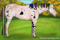 Horse Color:Painted White Spotted Bay Ice