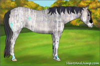 Horse Color:Plaid  Blue Onyx Ice Roan Rabicano 