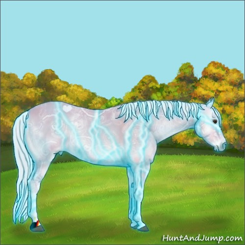 Horse Color:Thunderstruck Watercolor Palomino Ice Onyx