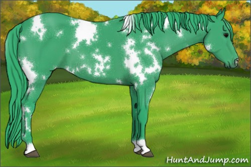 Horse Color:Watercolor White Spotted Black