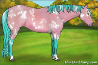 Horse Color:Watercolor White Spotted Bay Rabicano