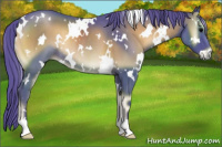 Horse Color:Watercolor White Spotted Smoky Blue Onyx Rabicano 