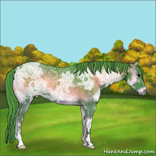 Horse Color:Watercolor Blue Onyx Ice Sabino Rabicano 