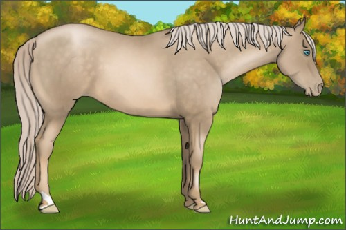 Horse Color:Chocolate Palomino Pearl