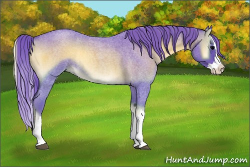 Horse Color:Watercolor Blue Onyx Roan Splash 