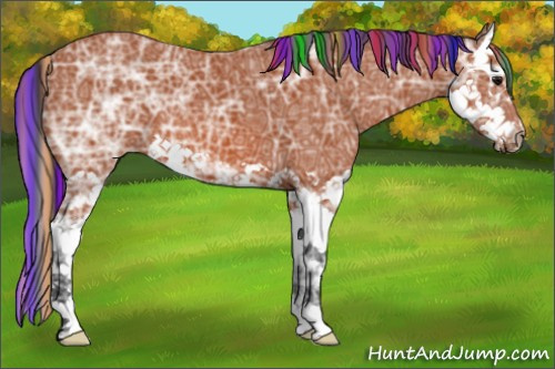 Horse Color:Painted Bay Ice Splash 