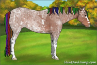 Horse Color:Painted White Spotted Bay Ice