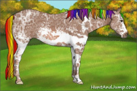 Horse Color:Painted White Spotted Chestnut Ice