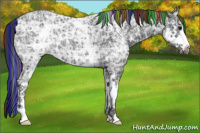 Horse Color:Painted White Spotted Black Ice