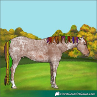 Horse Color:Painted Chestnut Ice