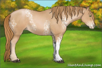 Horse Color:White Spotted Chestnut Pearl 