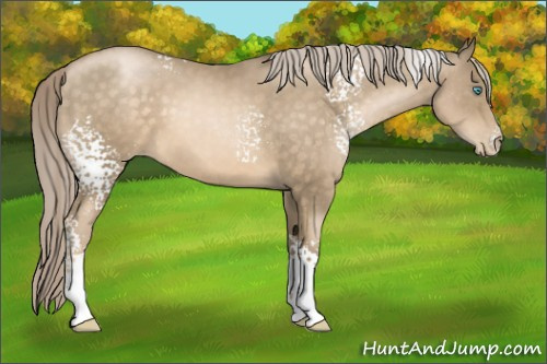 Horse Color:White Spotted Chocolate Palomino Pearl