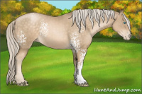 Horse Color:White Spotted Chocolate Palomino Pearl 