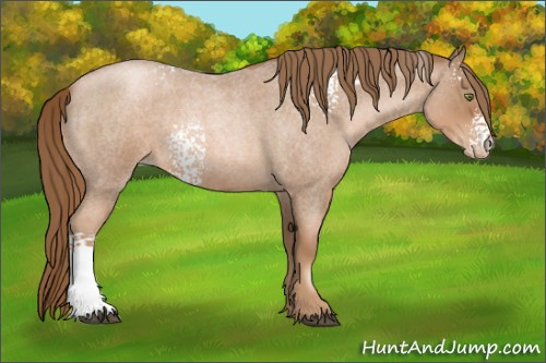 Horse Color:White Spotted Liver Red Roan Pearl 