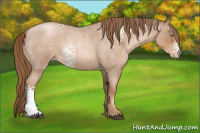 Horse Color:White Spotted Liver Red Roan Pearl 