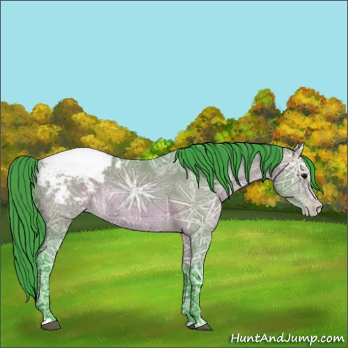 Horse Color:Watercolor Bay Ice Appaloosa 