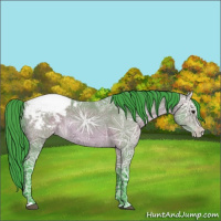 Horse Color:Watercolor Bay Ice Appaloosa 