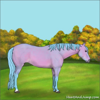 Horse Color:Watercolor Bay Dun 